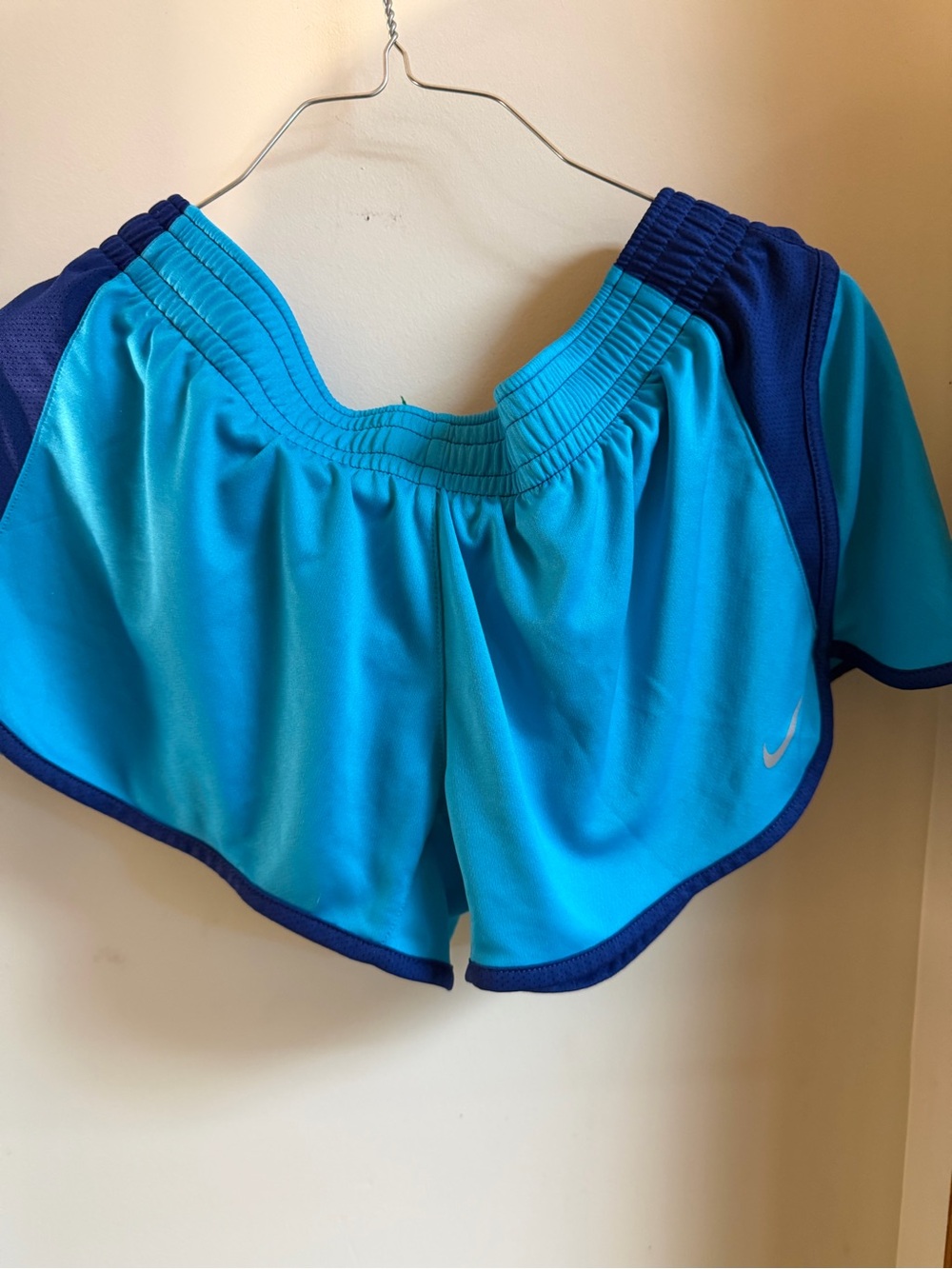 Nike Women's Turquoise and Navy Athletic Shorts